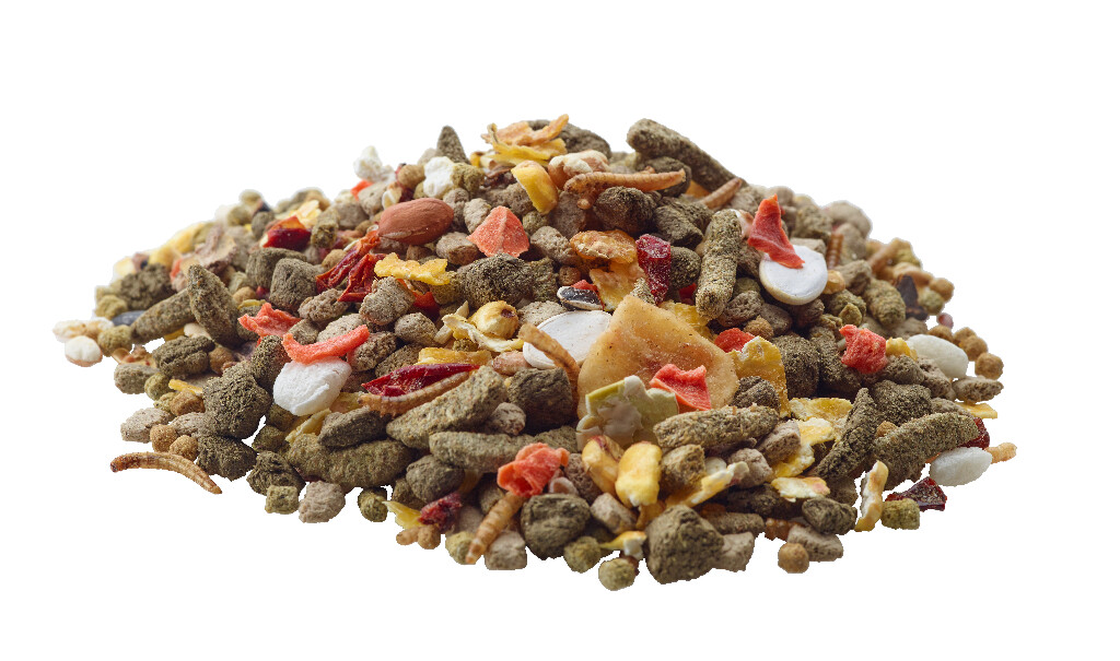 Gerbil 700g