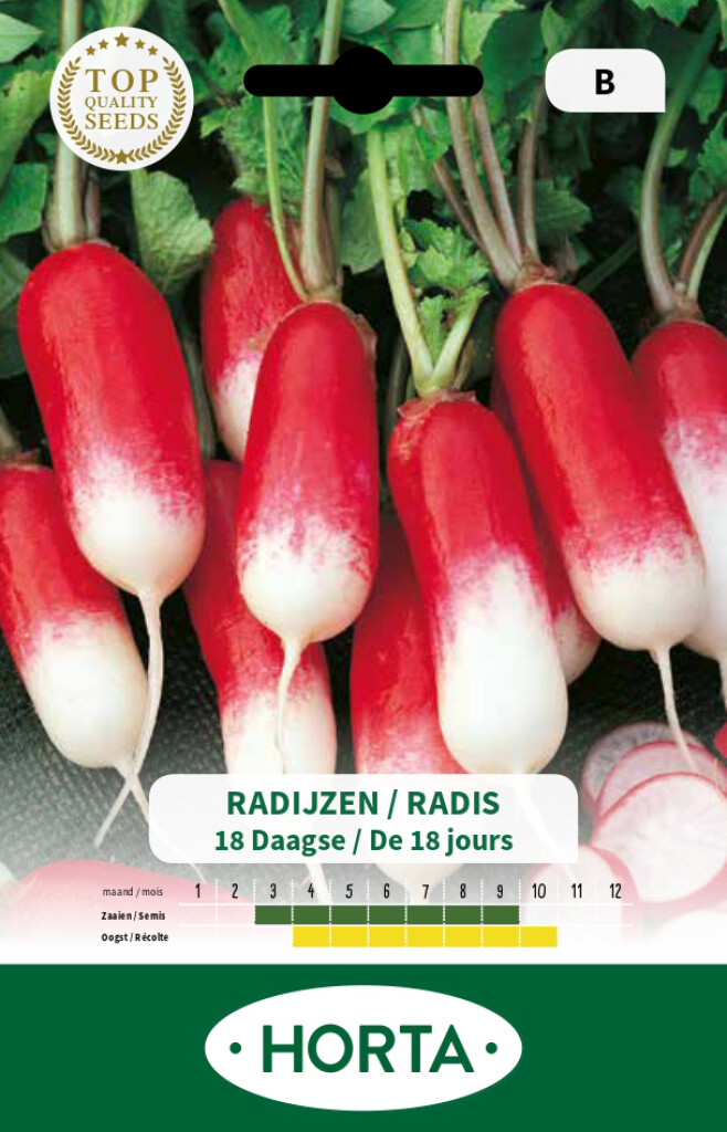 Radis de 18 jours Radis de 18 jours