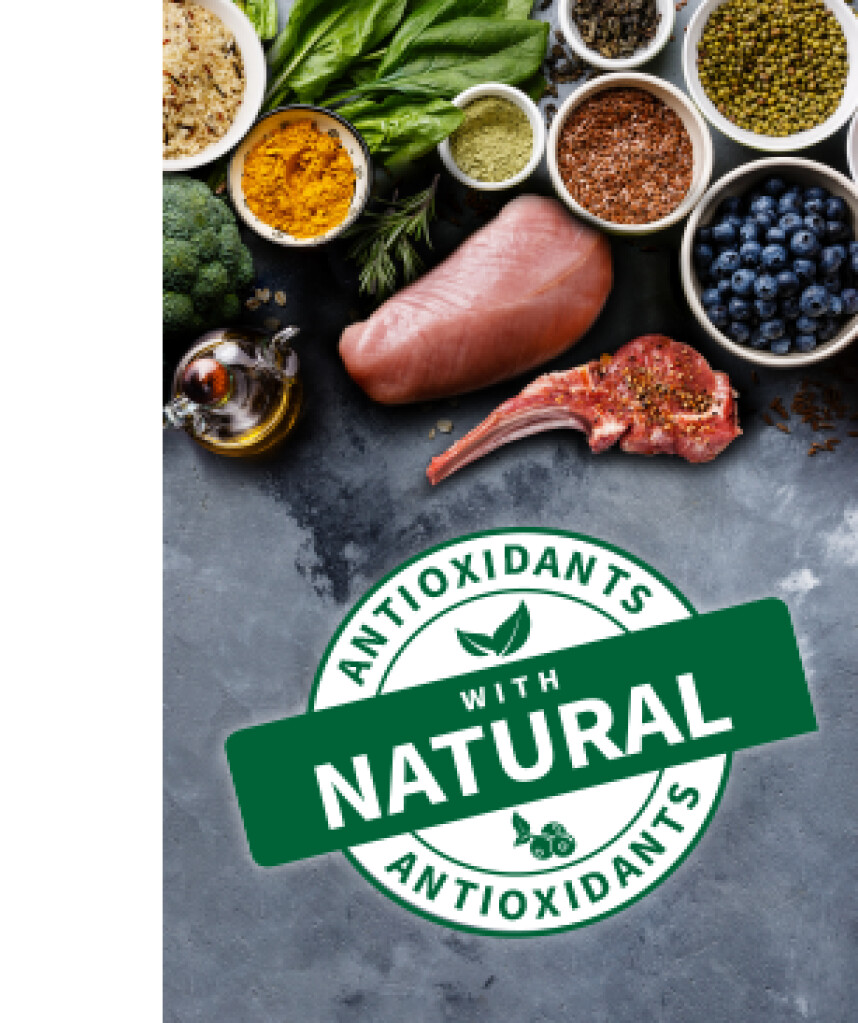 Medium Light Chicken&Rice 12kg