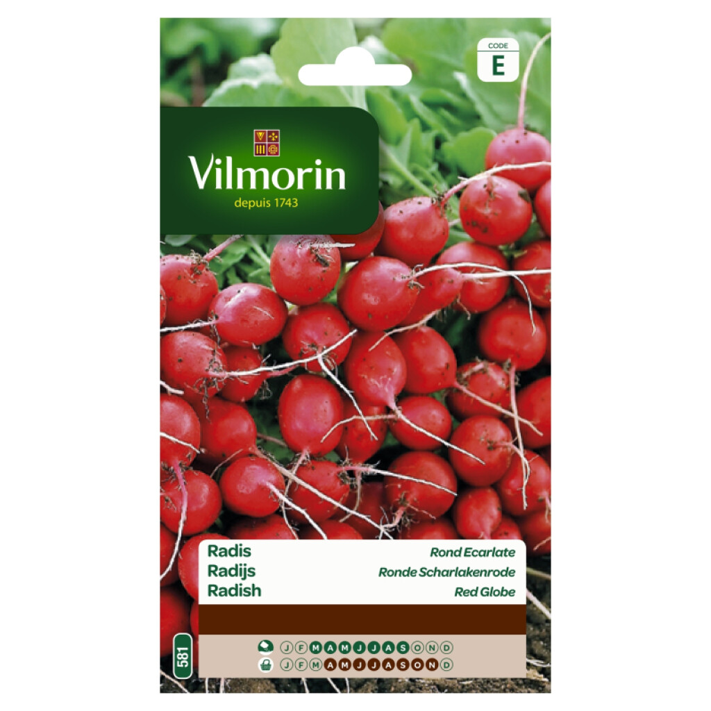 Radis Rond Ecarlate 30g