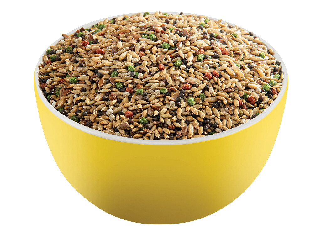 Kanaries 2,5kg Kanaries 2,5kg