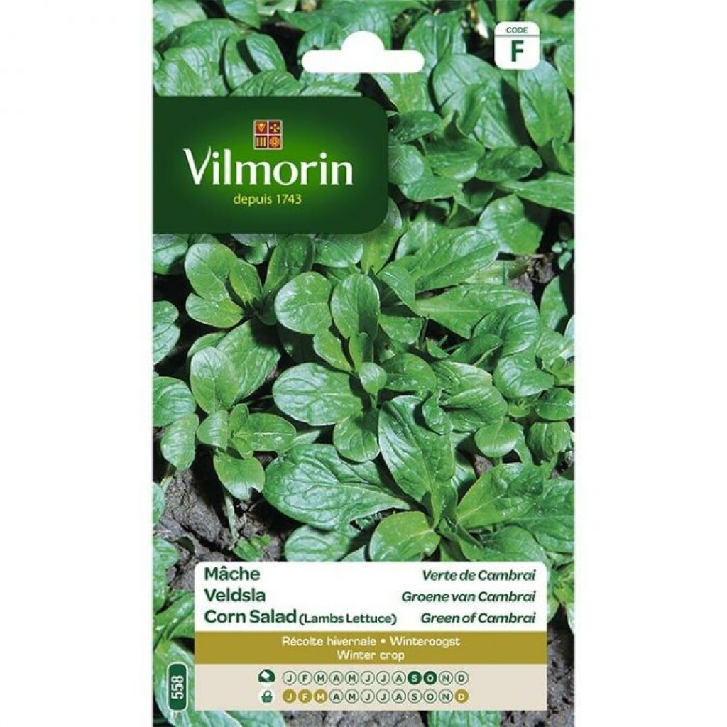 Veldsla Groene Van Cambrai 15g