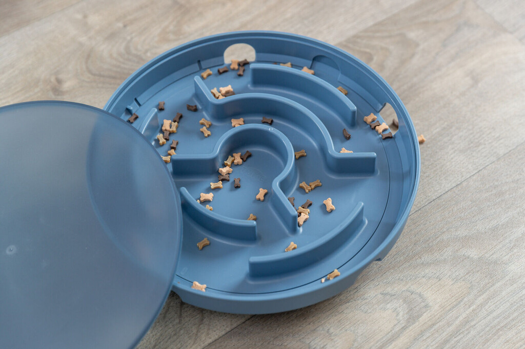 Dog Activity Rocking Maze