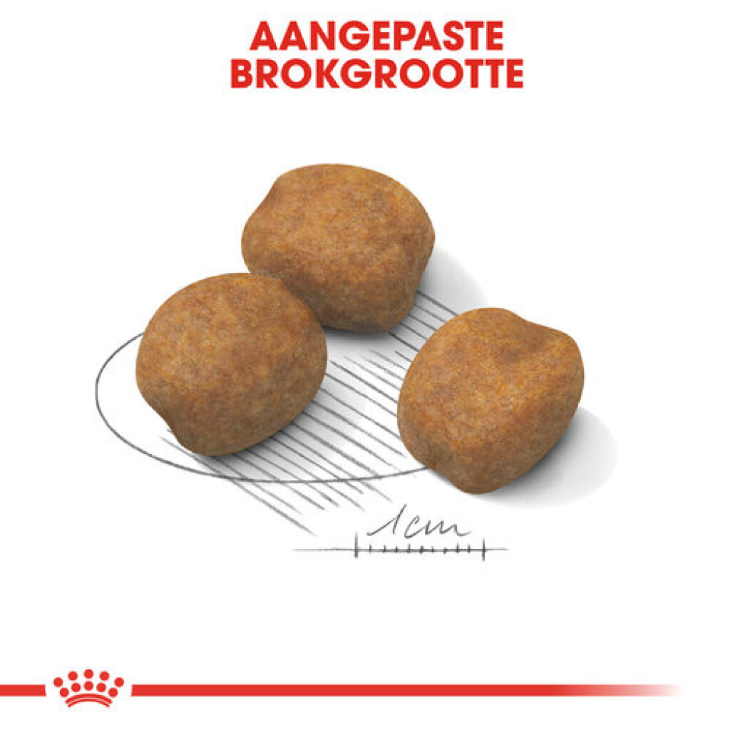 SHN Puppy Giant 15kg