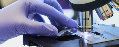 Micro-organismes du sol : quel rôle joue chacun d’eux ?