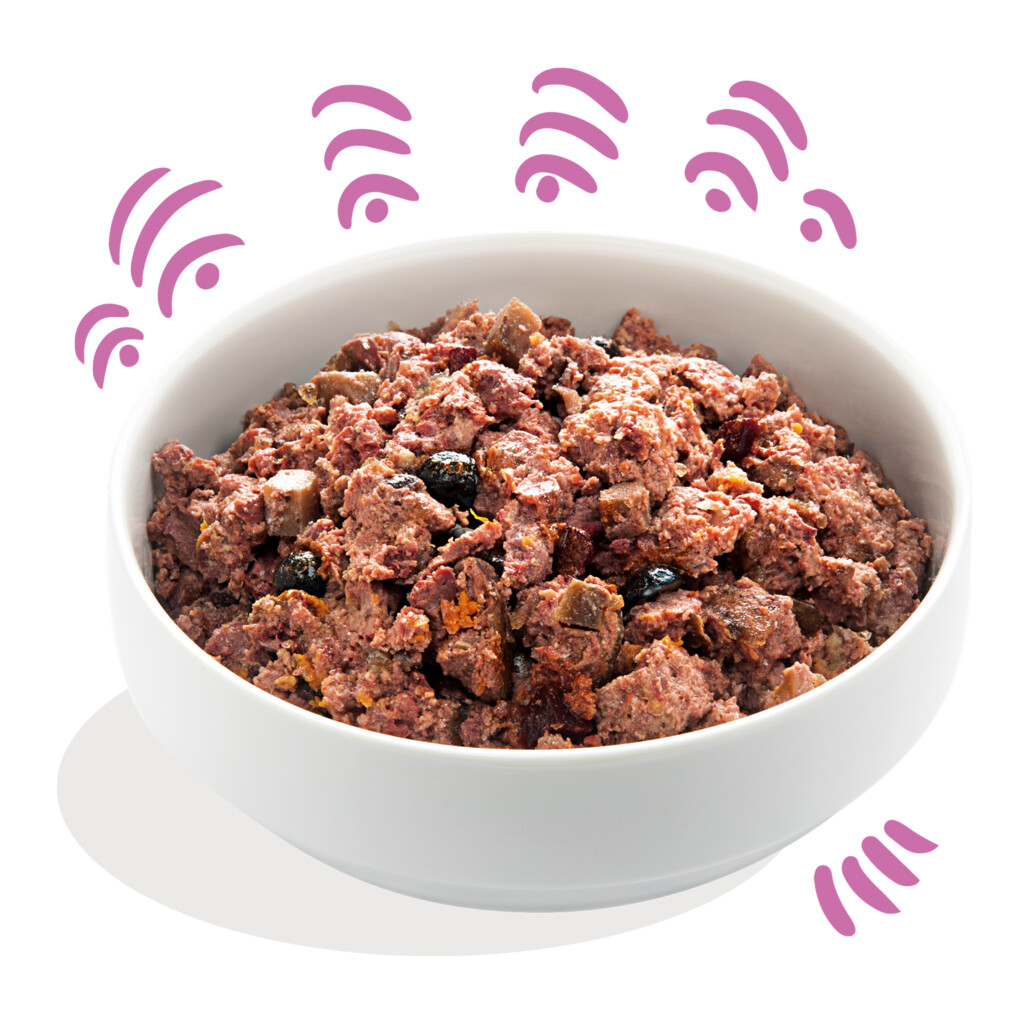 Gibier & canard 400g - adulte - canette