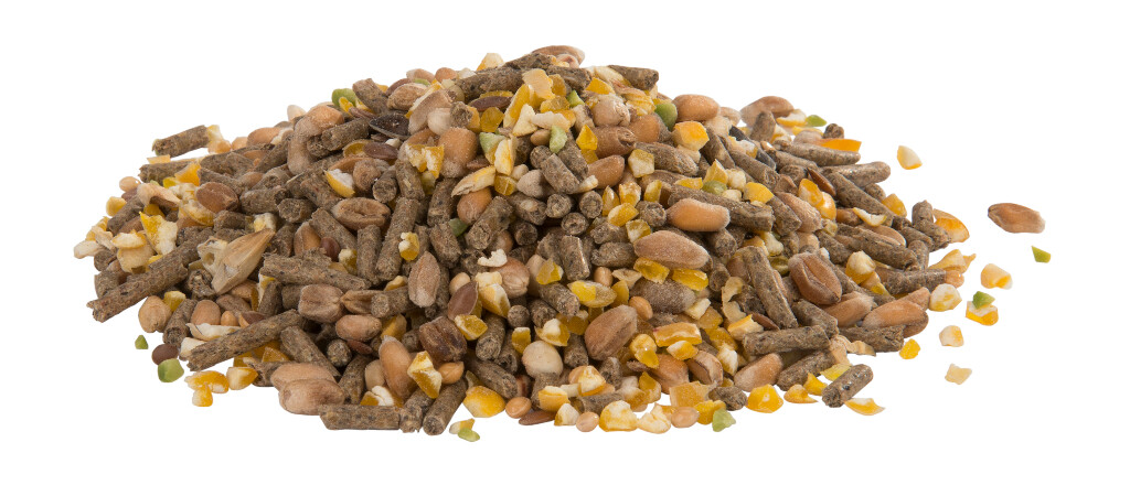 Gold 4 Mini Mix 20kg