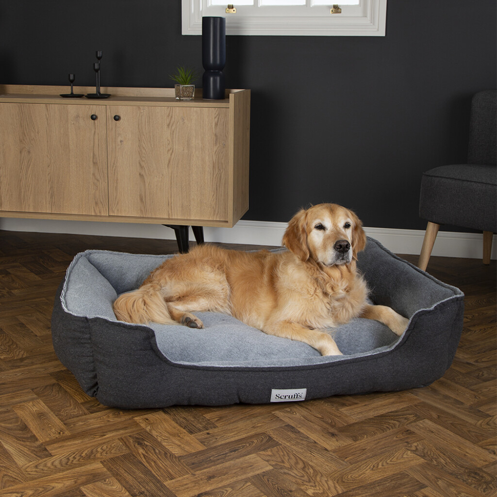 Harvard Memory Foam Orthopedisch Box Bed Grafiet Grijs XXL