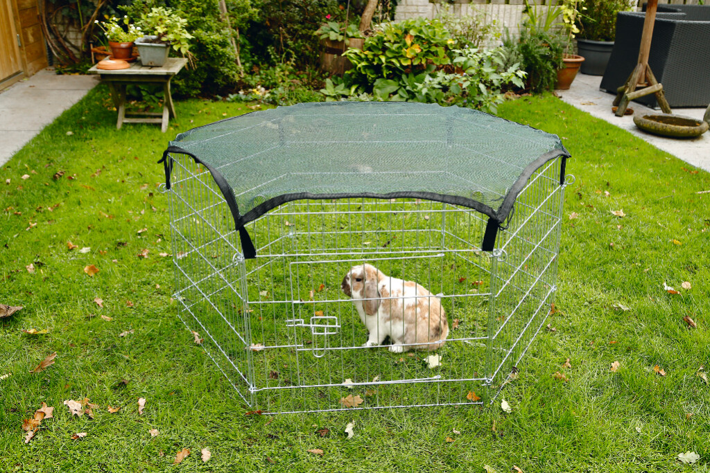 Filet de protection pour parc à lapin 6x60 cm
