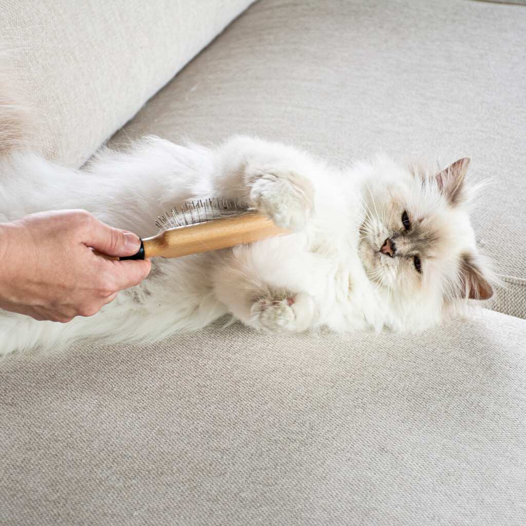 APRIL - Brosse à aiguilles
