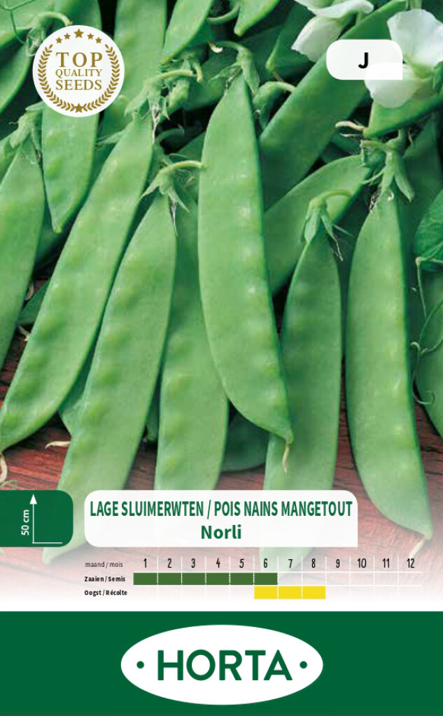 Pois nain mangetout Norli Pois nain mangetout Norli