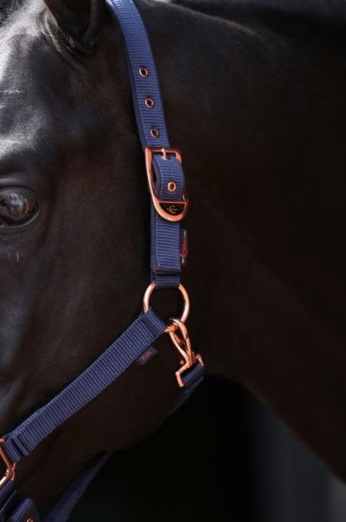 Halster Classy cob blauw Halster Classy Shetty blauw