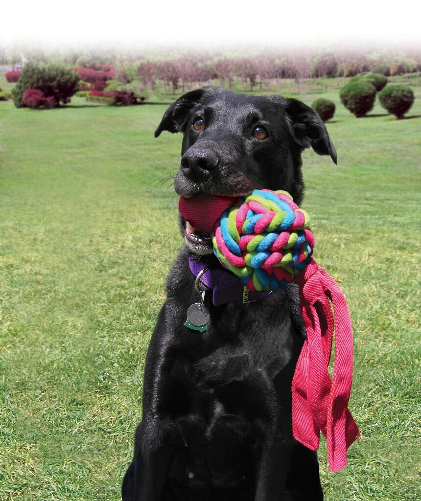 Wubba Weaves Balle Nouée
