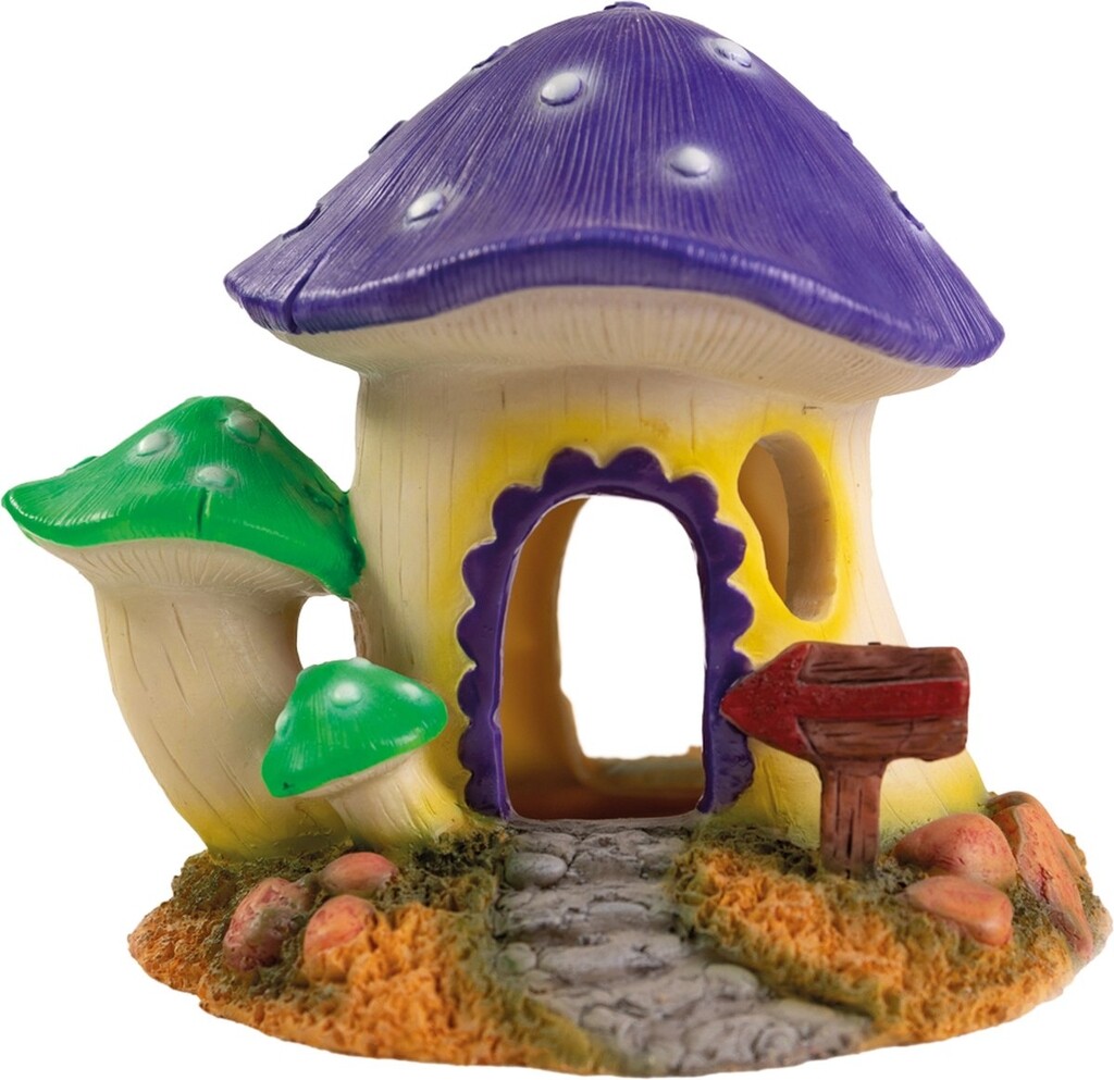 Mushroom House M Mushroom House M