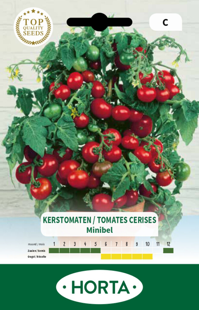 Tomaat kers Minibel (speciaal voor pot)