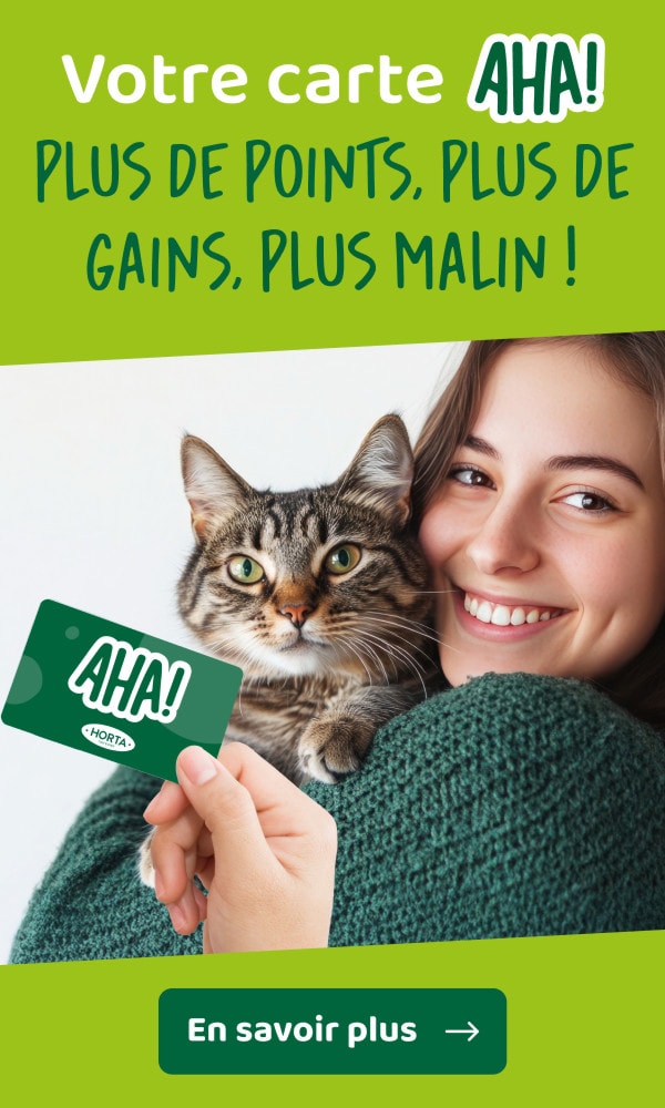 Votre carte AHA! Plus de points, plus de gains, plus malin !
