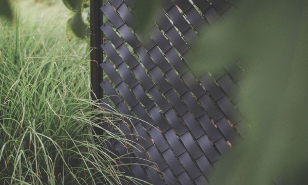 Colorado Woodlook - 50x100m groen