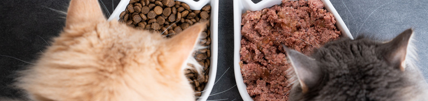 Croquettes ou pâtée Croquettes ou pâtée