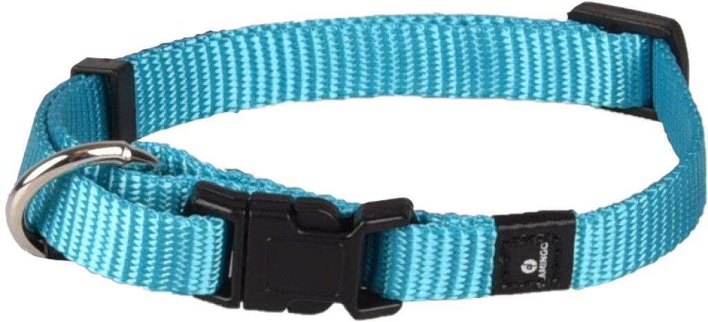 Halsband Ziggi Turquoise XS 20-35cm 10mm