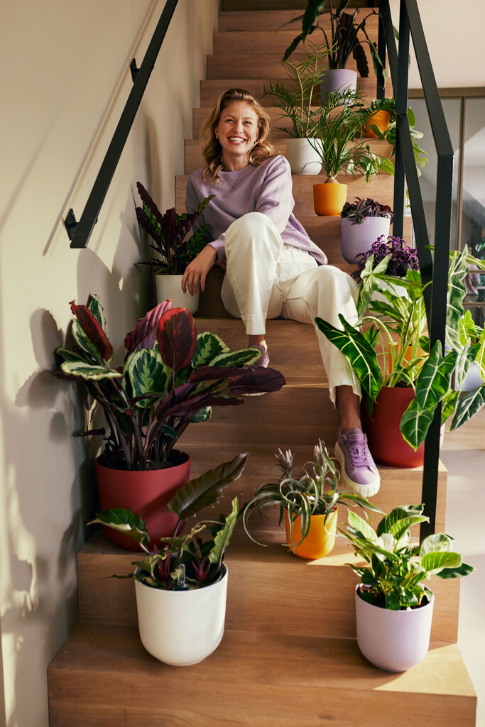 Jazz Rond 16cm zijdewit