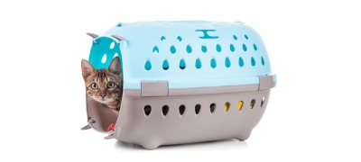 Katten transportbox Katten transportbox