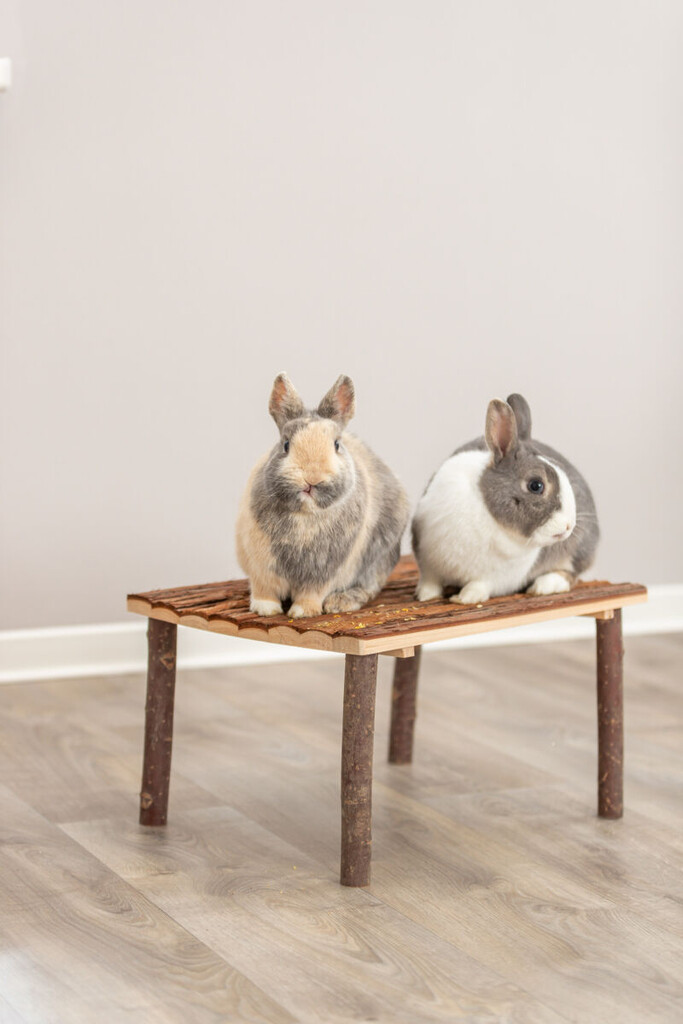 Abri/Lieu Repos en Bois d'Écorce pour Lapins