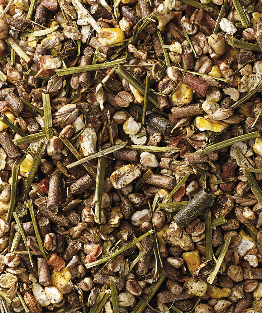 Muesli Strucomix Senior 20 kg