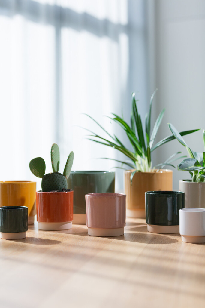 Eno pot duo Light Green 8cm