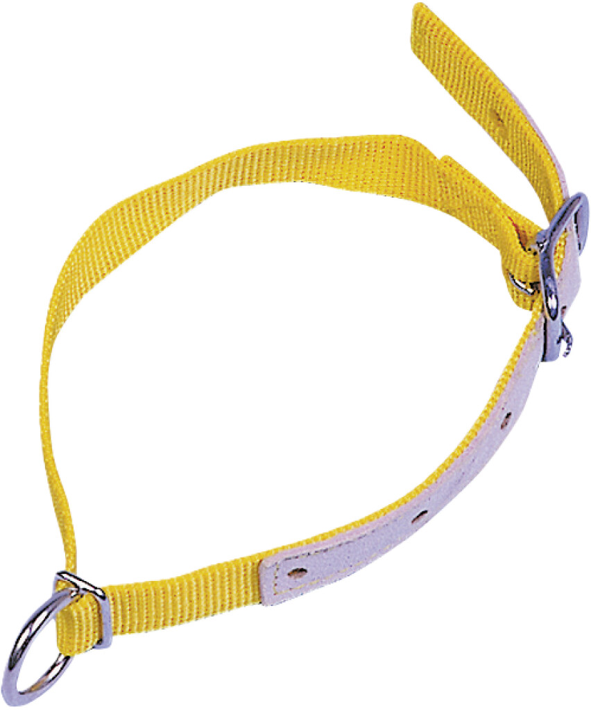 Halsband voor schapen, geel