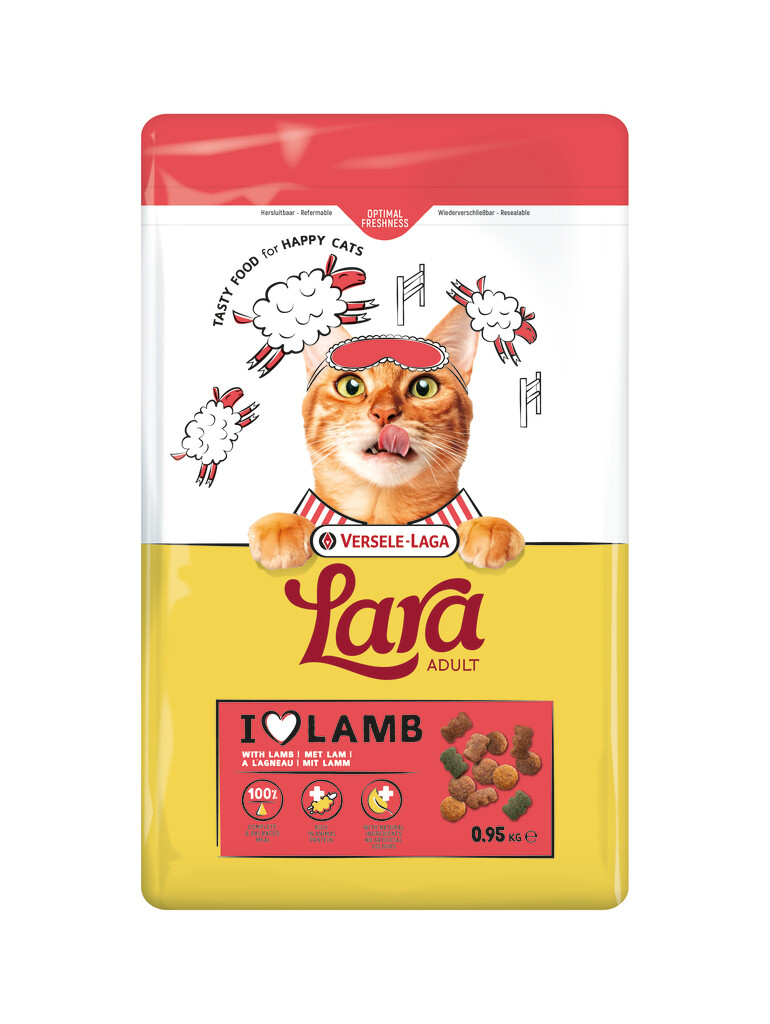 Adult with Lamb 950g