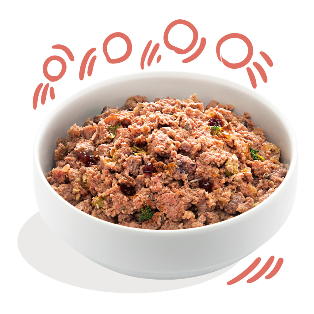 Kip & asc-zalm  400g - Senior - blik