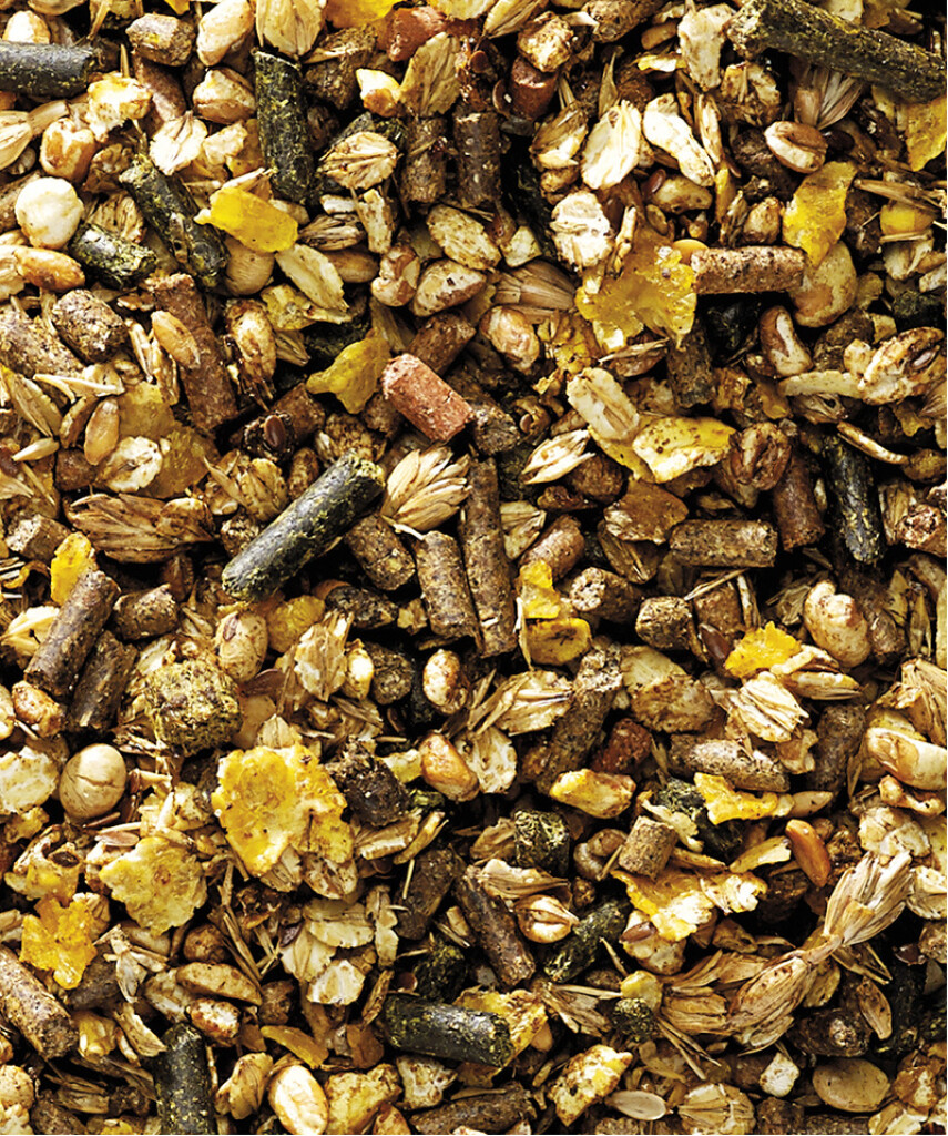 Muesli Shine & Show 20kg
