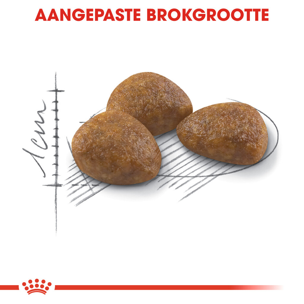 FHN Outdoor 7+ 2kg FHN Outdoor 7+ 4kg