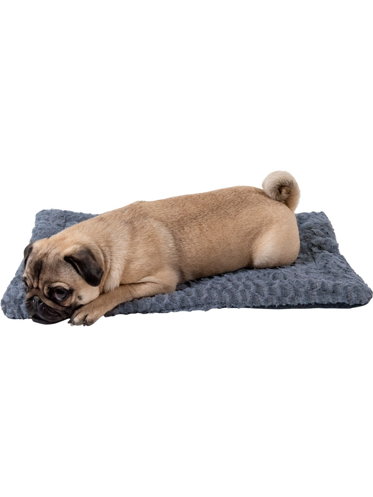 Scale coussin cage S Scale coussin cage S