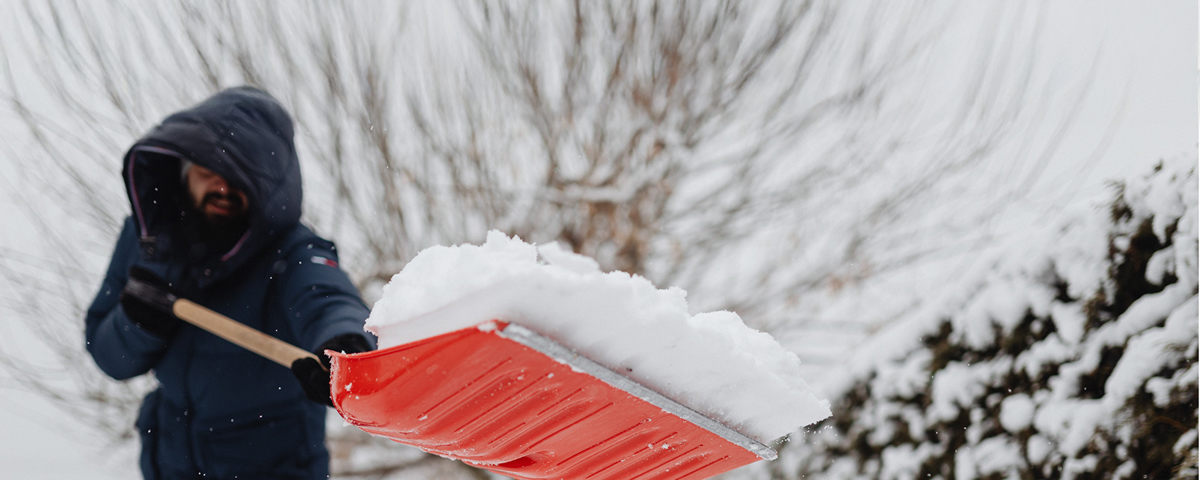 Wat te doen in de tuin: december
