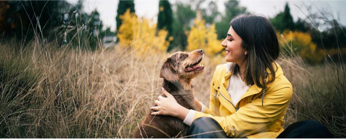 Horta Hondenwandelzoektocht