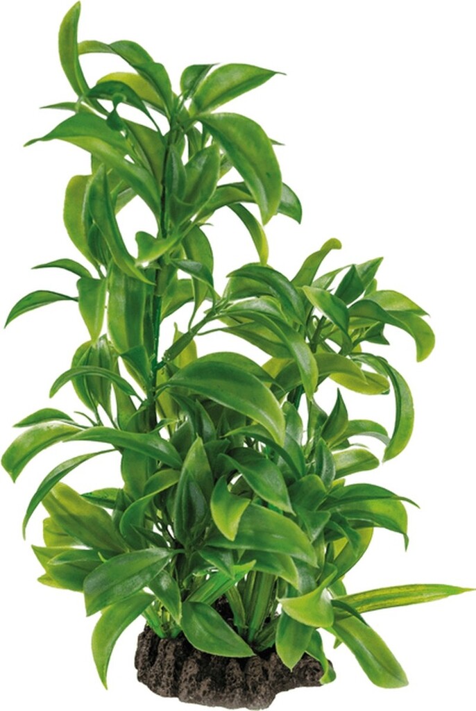 Art Plant 25cm Dracaena