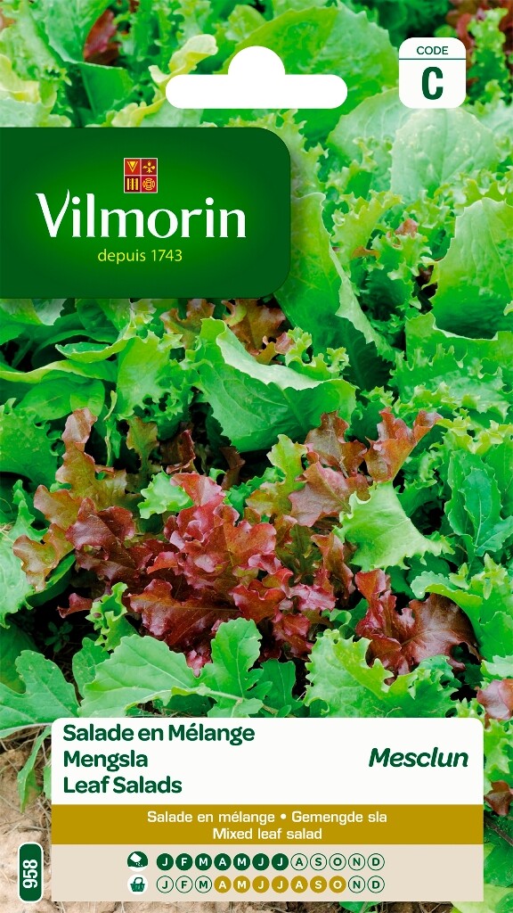 Laitue en mélange Mesclun