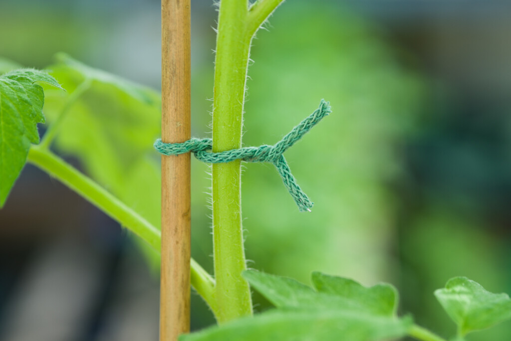 Ficelle de jute 5m Ficelle de jute 5m