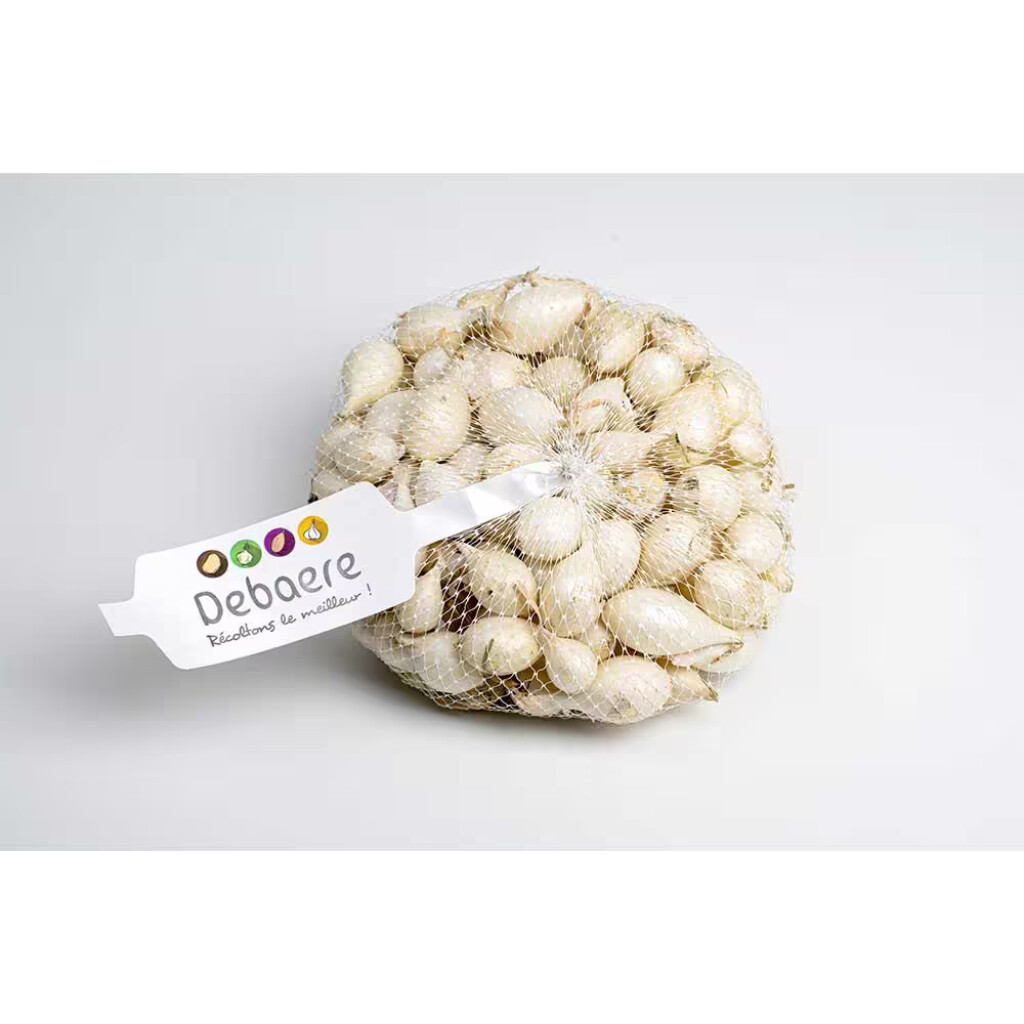 Oignon blanc Snowball 14/21 250g Oignon blanc Snowball 14/21 250g