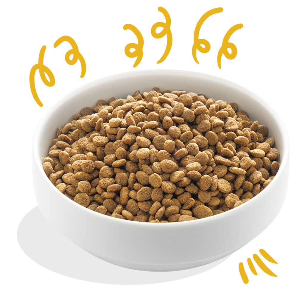 Verse biokalkoen & biokip met vrije uitloop 700g - Adult