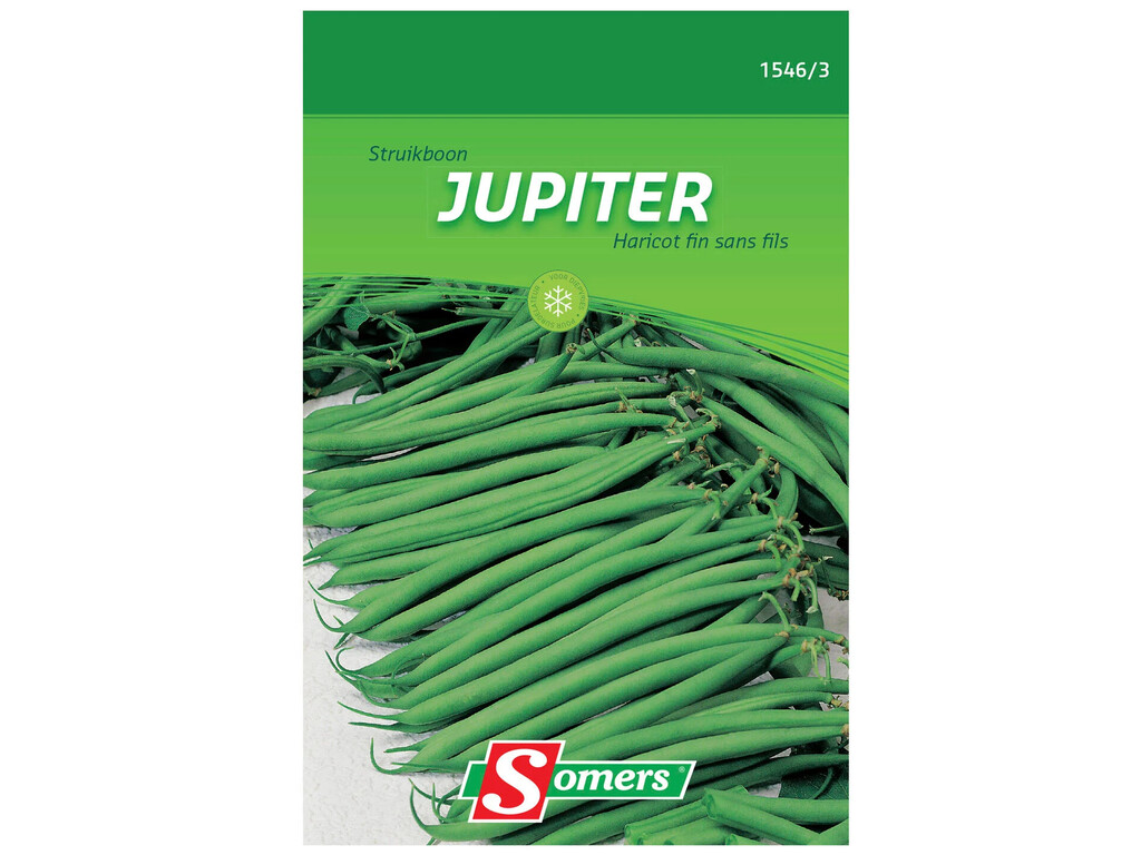 Struikprinses Jupiter 130g Struikprinses Jupiter 130g