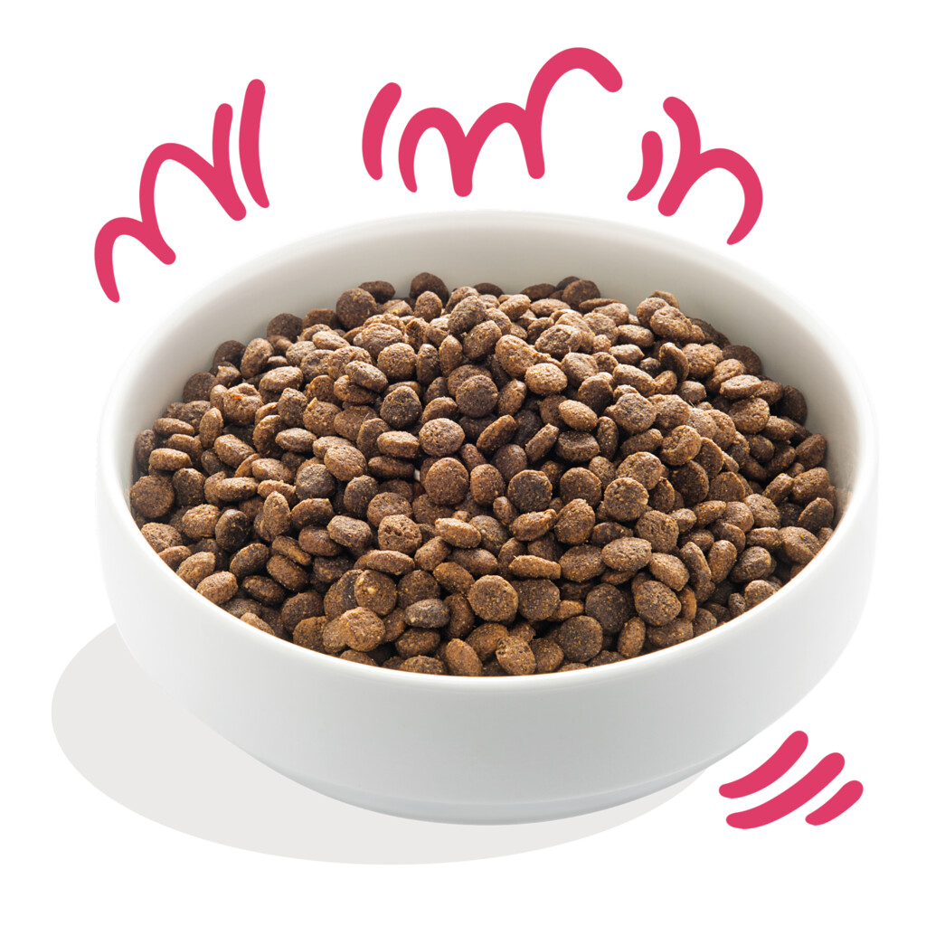 Vers biorund & verse biokip met vrije uitloop 2,5kg - adult - medium