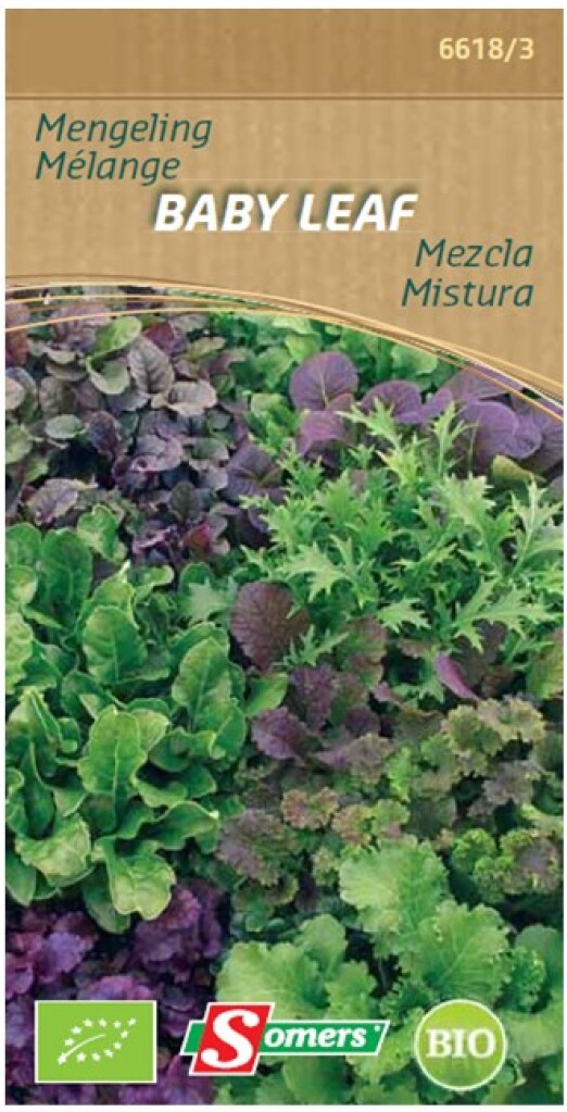 Be-Bio-02 Mengeling Baby Leaf Spicy
