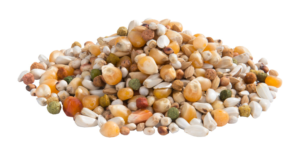 Aliment pour pigeons Gerry 20 kg