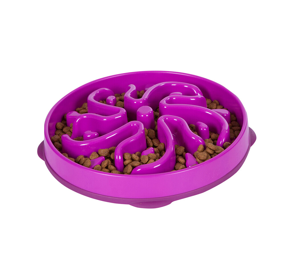 Fun Feeder Flower turquoise