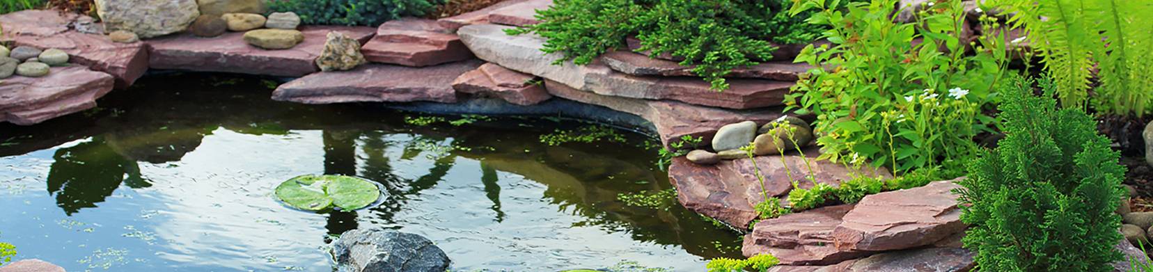 Un filtre pour votre étang