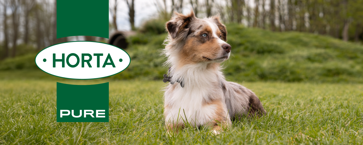 Horta PURE Sensitive, parfaitement adapté aux chiens sensibles