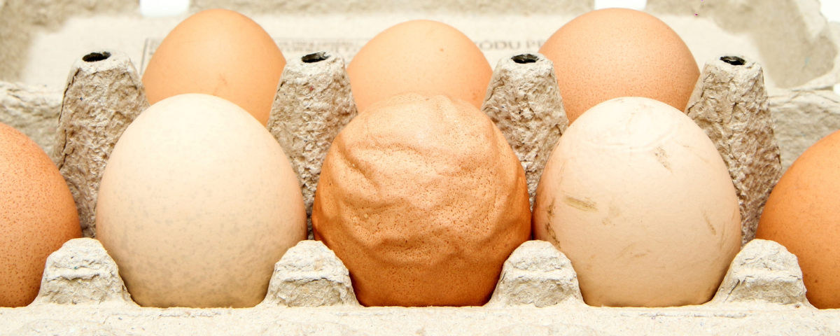 Votre poule pond-elle aussi des oeufs de folie ?