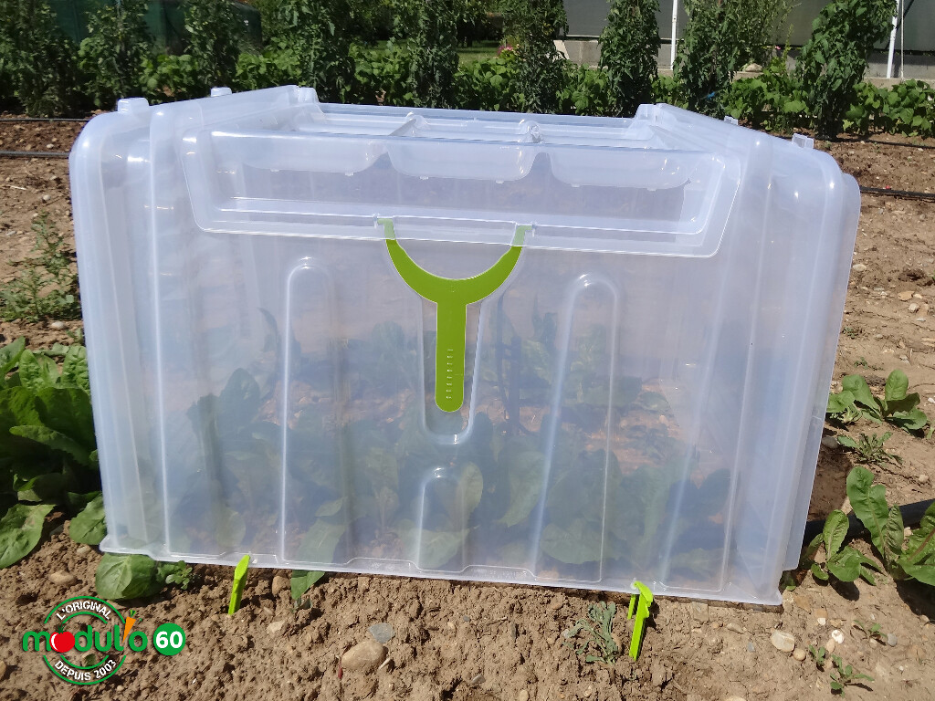 Kweektunnel Modul'o 60